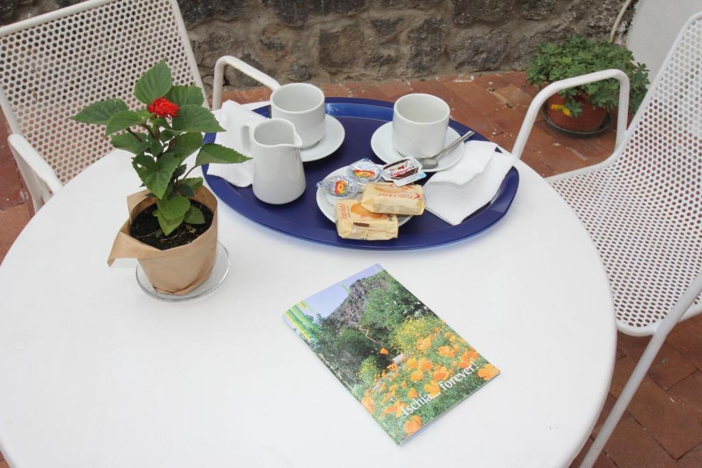 Erade Bed & Breakfast Casamicciola Terme