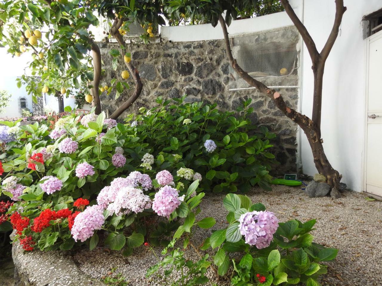 Bed & Breakfast Erade